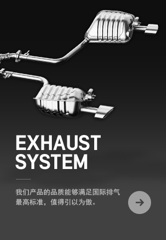 exhaust system