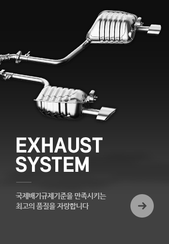 exhaust system